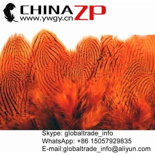 CHINAZP Factory Wholesale 2000pcs/lot 8~10cm Length Top Quality Dyed Orange Natural Silver Pheasant Feathers