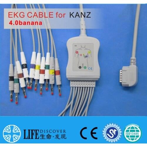 One piece EKG Cable with 10leads for KANZ ECG108,110 without resistance