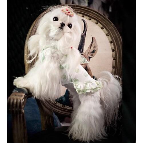 Spring and Summer New Romantic Sweet Tea Wave Point Suspender Skirt Korean Version Dog Clothes Lovely Princess of Yorkshire