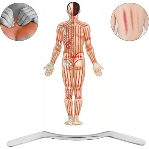 Grade Stainless Steel Gua Sha Massage Tool Soft Tissue Therapy Used - Myofascial Release Tools Reduce Neck and Muscle