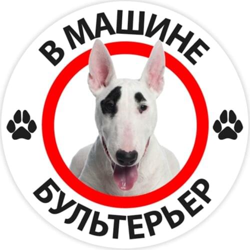 B0300# 10/13/15 cm Bull Terrier in the Car Self-adhesive Decal Car Sticker Waterproof Auto Decors on Bumper Rear Window