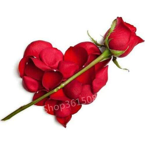 Full square / round drill 5D diamond painting red rose heart pattern rhinestone mosaic diamond embroidery flower