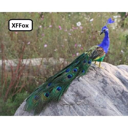 Small cute real life peacock model foam&feather turned peacock bird gift about 50cm d0045