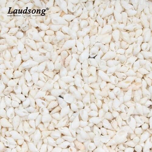 20g / bag 5-15MM Cute Conch Shaped Beads For DIY Home Decoration Marine Style Handicraft Accessories Loose Beads