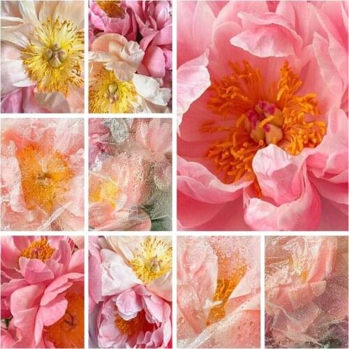 Diamond Painting 5D Diamonds DIY Flower Cross Stitch Full Square Drill Embroidery Colorful Handmade Home Room Wall Decor