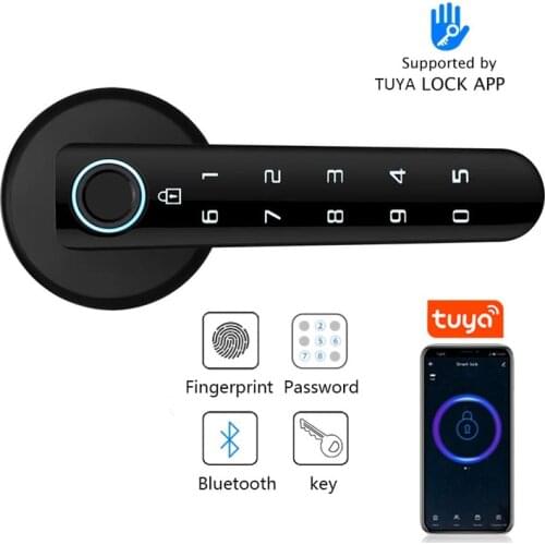 Smart Handle Lock With Tuya TTLOCK APP Remote Control Opening Door Home Office Security Electronic Fingerprint Door Lock