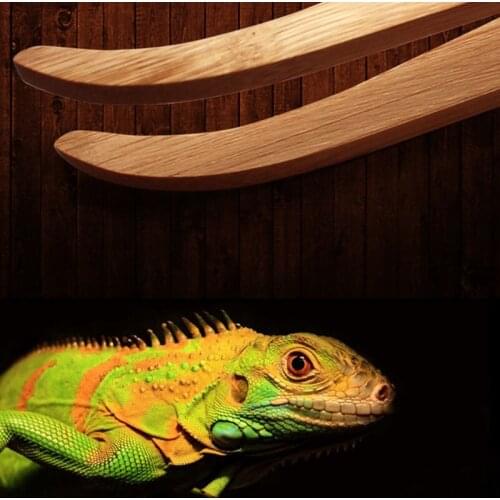 Angled Reptile Terrarium Feeding Tongs Tweezers Eco-Friendly Bamboo Feeding Tool P15D