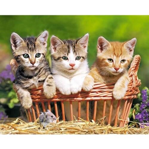 5D DIY Full Square Diamond Painting Cat In The Basket Embroidery Cross Stitch Rhinestone Mosaic Home Decor Handmade Wall