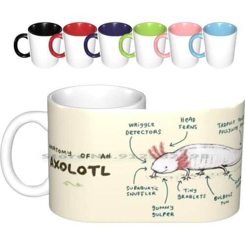 Anatomy Of An Axolotl Ceramic Mugs Coffee Cups Milk Tea Mug Anatomy Axolotl Pet Mudpuppy Lizard Frog Reptile Amphibian Wooper