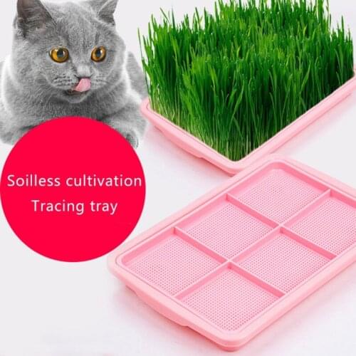 4Color Pet Cat Cat Mint Hydroponic Cat Grass Planting Box Blue Cat Grass Cultivation Kit Cat Snack Nursery Pots Box