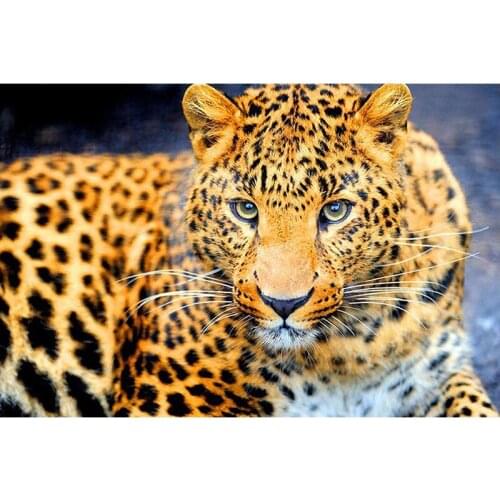 5D DIY Square Diamond Painting Rhinestones Tattoo Tiger Pictures Mosaic Full Round Display Diamond Embroidery Cross Stitch Kit