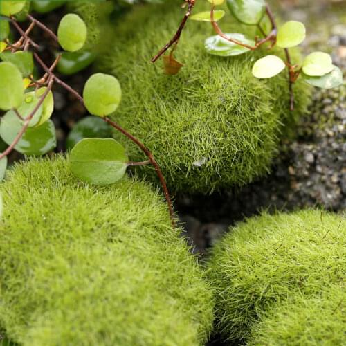Micro Landscape Grass Stone Figurine Home Decor 2020 Christmas Miniature New Year 2021 Fairy Garden Decoration Accessories 1PC