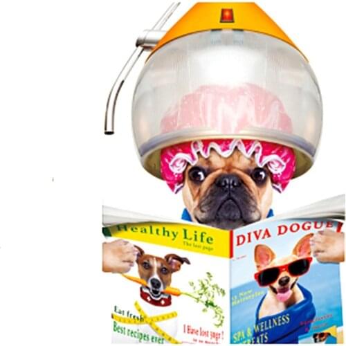 Clothing Patches Hey Dog Pattern Iron On Patches Thermal Transfer Printing Fashion Stickers for Clothes Animal Style Decoration