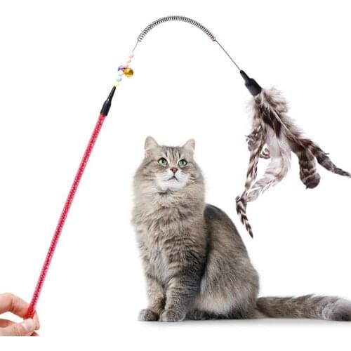 Cat Teaser Wand Spring Bell Funny Cat Feather Toy Cat Training Toy Cat Interactive Toy Stick Feather Wand