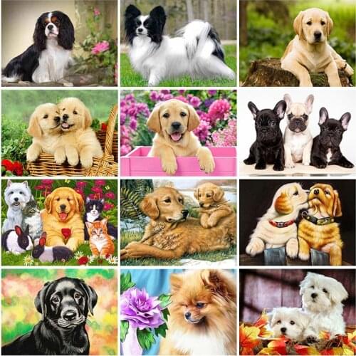 5D DIY Diamond Painting Full Square/Round Resin Diamond Embroidery Dog Animal Picture Of Rhinestones Diamond Mosaic Home Decor