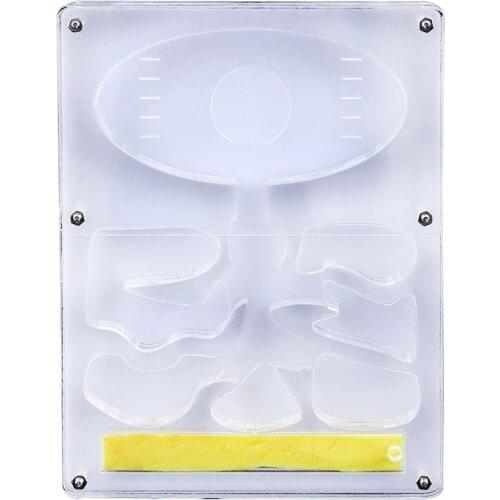 New Acrylic Ant Breeding Box, Ant Farm, Insect Nest, Farm Feeding Box, Educational Formicarium, Ant Farm Kit