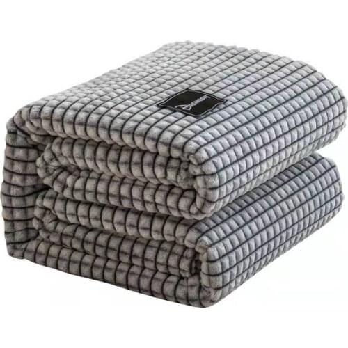 Fashion Solid Color Gray Coral Fleece Blanket Soft Winter Throw King Queen Twin Size Warm Bed Sheet Car Travel Blanket
