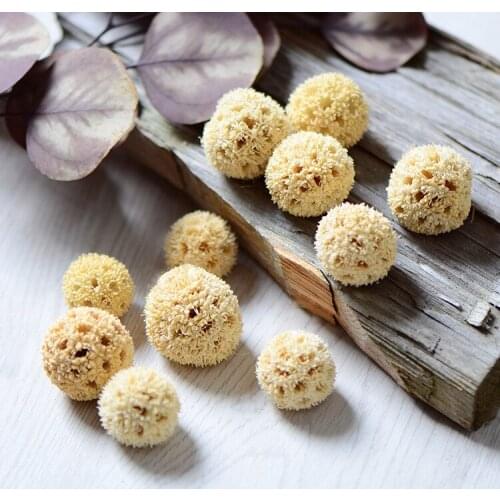 10pcs,Natural Real dried flower head,Eternell flower materials DIY display Flower arrangement for Wedding party Home Decoration