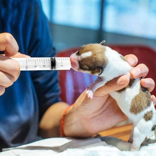 5/10/20 / 30Ml Nutrient Sterile Syringe Measuring Tools Nutrient Lip Dog Plastic Cat Filling Syringe Feeding Reusable Gloss A1Y9