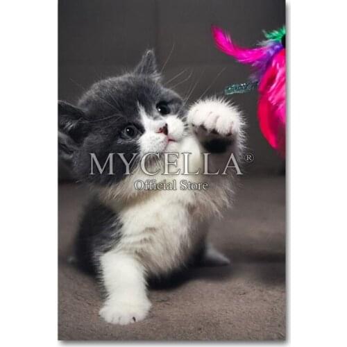 Animal,Lovely Cat,Diamond Embroidery,5D,DIY,Diamond Painting,Cross Stitch,Picture of Resin,Full,Diamond Mosaic,Home Decor,gift