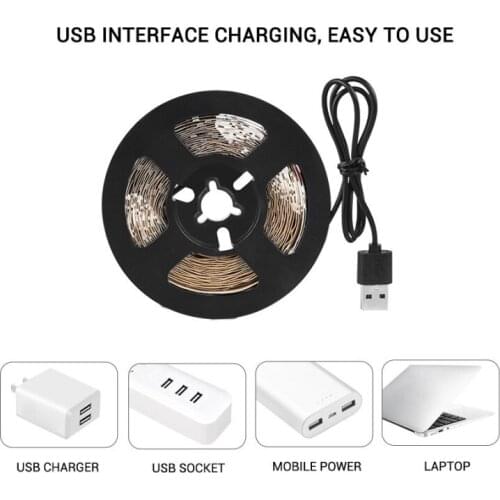 LED Phytolamp For Plants USB 5V Grow Light Strip 0.5 M 1 M 2 M 3 M 2835 Chip Full Spectrum Plants Flowers Growing Lamp LED Lamp