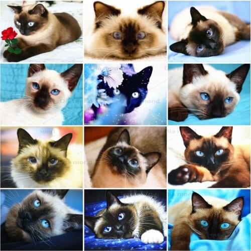 5D Full Drill Diamond Painting Cat Cross Stitch Handicraft Diamond Embroidery Animal Mosaic Rhinestones Gift Home Decoration