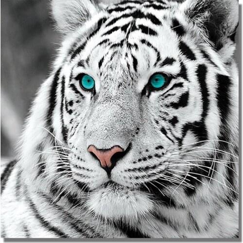 5D DIY Diamond Painting White Tiger Cross Stitch Full Square/Round Diamond Embroidery Animal Pattern Rhinestone Tool Set Gift