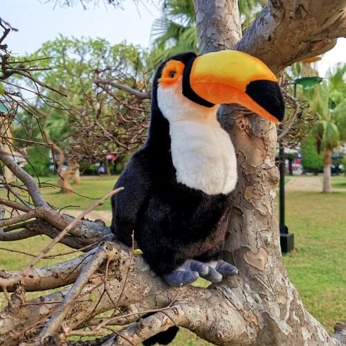 30cm Big Kyorochan Simulation Toucan Bird Animal Plush Toy Doll Kids Birthday Gift Home Decoration