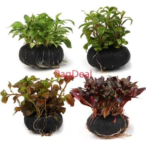 5pcs Aquarium Fish Tank Beautify Fern Substrate Kit Protect Live Aquatic plant Root Decorative Ornaments No Messy Easy to Use