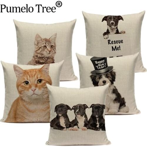 Custom Cartoon Cushion Decorative Home Dog Cat Cushions Cover 45X45Cm High Quality Pillowcase For Living Room Sofa pillow