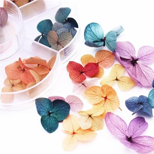 3D Dry Flowers Stickers Real Dried Flower Nail Art Decoration Tips DIY Manicure Tools with Box