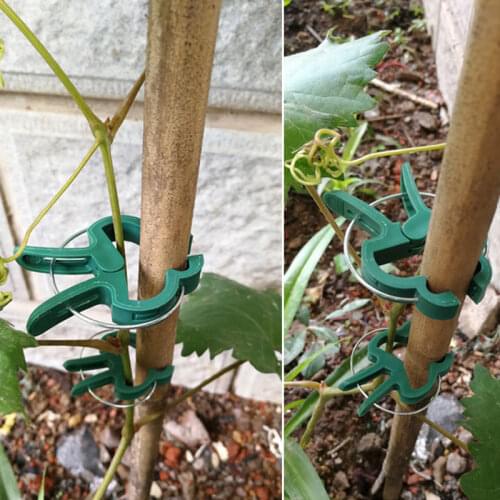 20pcs S/L size Plant Support Clips With zinc Reusable clamps For Plants Hanging Fixed Vine Garden Greenhouse Vegetables Tomatoes