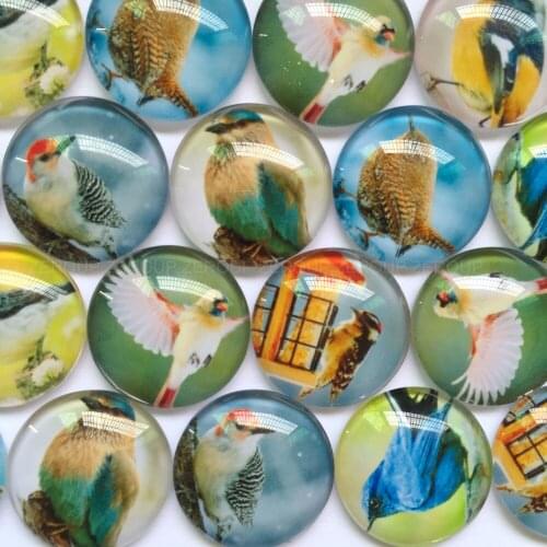 ZEROUP 12mm 20mm Handmade Photo Glass Cabochons Mixed Pattern Domed Round Jewelry Accessories Supplies for Jewelry TP-393