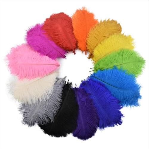 10Pcs/Lot 15-20cm Ostrich Feathers Holiday Decorations Jewelry Creation Colorful Plumes Carnival Feathers Handicraft Accessories