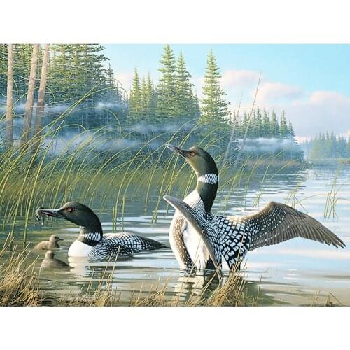 Full Square / Round 5D DIY Diamond Painting animal Ducks Diamond Embroidery Sale picture of Rhinestones Decoration gift GH397