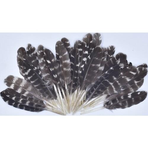 20Pcs Feathers for Crafts Decoration Pheasant Feather Small Turkey Feathers Needlework Decor Jewelry Carnival Accessories Plume