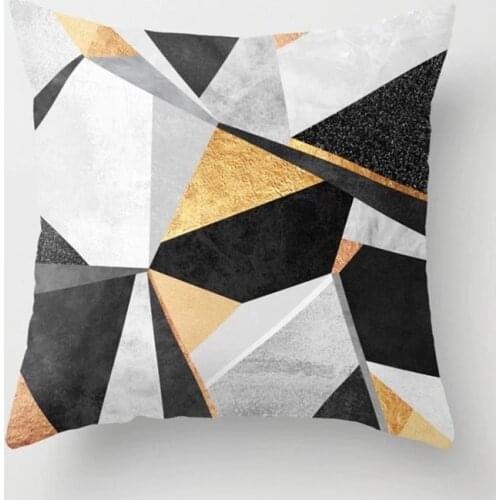 Luxury Cushion Covers Peach Skin Velvet Throw Pillowcases Car Lumbar Pillow Cases Abstract Printed Geometric Home Decoration