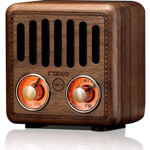 REDAMIGO Digital FM Radio Digital linternet radio portable fm Radio Mini bluetooth Speaker TF card Player RADR917