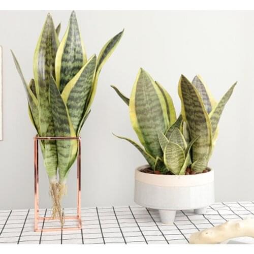 Artificial Succulent Plant Plastic Tiger Piran Bonsai Accessories Fake Sansevieria Plants Party Home Craft Table Decor KGH0043