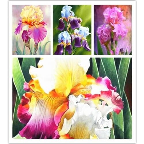 Oil Paint By Numbers Flowers Wall Art Hand Painted Coloring Of Numbers Canvas Wall Set Home Decor