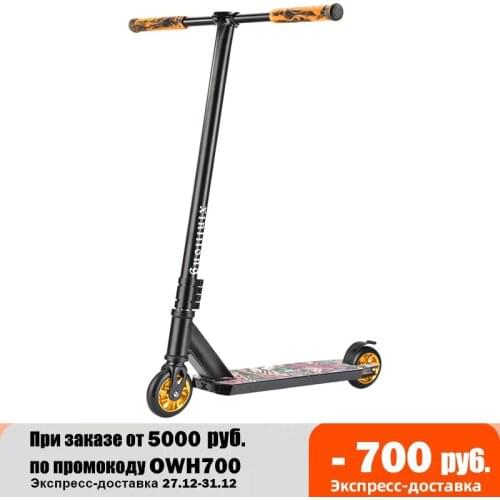 Adult street car two-wheel professional extreme scooter competitive stunt car combination