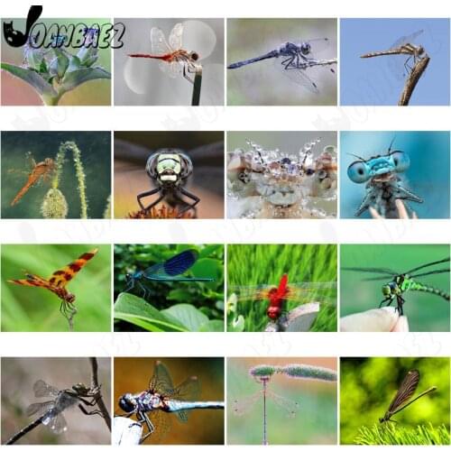 Busy Big Eyes Dragonfly Diamond Painting 5D Diy Wall Art Color Wings Animal Diamond Inlaid Home Room Decoration Accessories