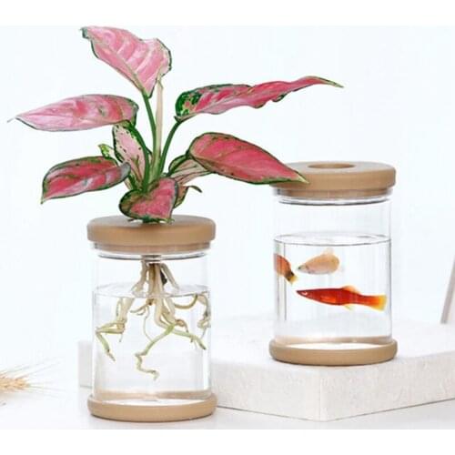 Transparent Plastic Flower Pot Lazy Hydroponic Automatic Water Absorption Flower Pot Soilless Planting Pot Imitation Glass Vase