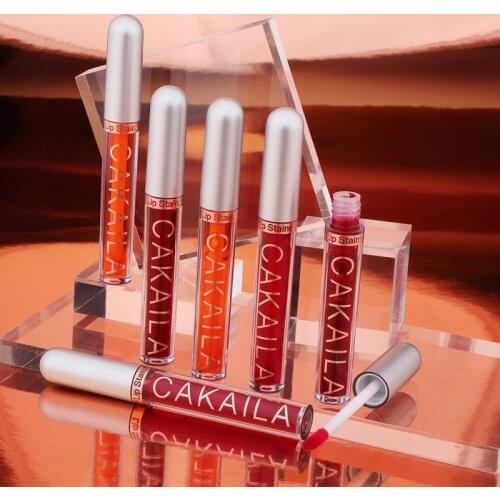 Lip Dyeing Liquid Lipstick Lip And Blush Dual-use Liquid Lip Glaze Lasting Rich Color Makeup TSLM1