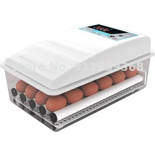 Small Household Mini Chicken Incubator Incubator Automatic Intelligent Incubator Water Bed Incubator