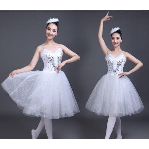 White Swan Lake Ballet Stage wear Costumes Adult Romantic Platter Ballet Dress Girls Women Classical Ballet Tutu Dance wear Suit