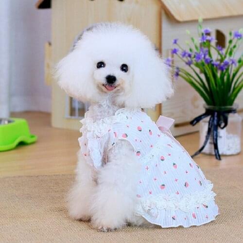 Strawberry Dress Maltese Bichon Puppy Cute Summer Light Dresses Pomeranian Yorkie Dog Princess wedding Dress Cat Clothes Female
