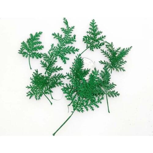 60pcs Green Pressed Dried Wormwood Leaf Leaves Plant Herbarium For Jewelry Bookmark Phone Case Candle Photo Frame Postcard DIY
