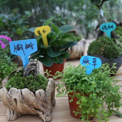 10 Pcs Garden Labels Gardening Plant Classification Sorting Sign Tag Ticket Plastic Writing Plate Board Plug In Card White