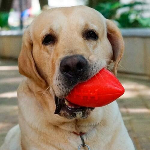 Dog Pet Ball Rugby TPR Rubber Toys Interactive Floating Puppies Cat Kitten Training Bite Cachorro Chew Playing Oval Non Toxic